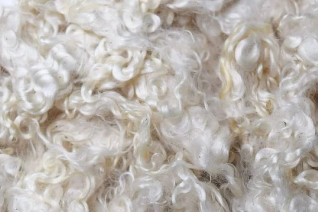 CeCe's Wool farm