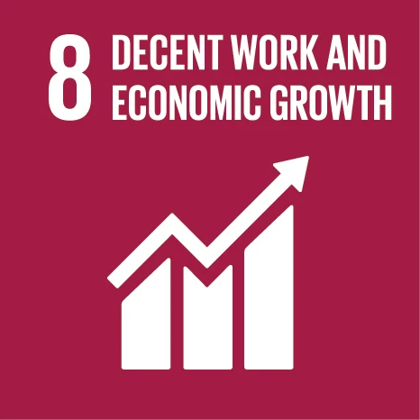 UN Sustainable Development Goal E SDG Icons-08