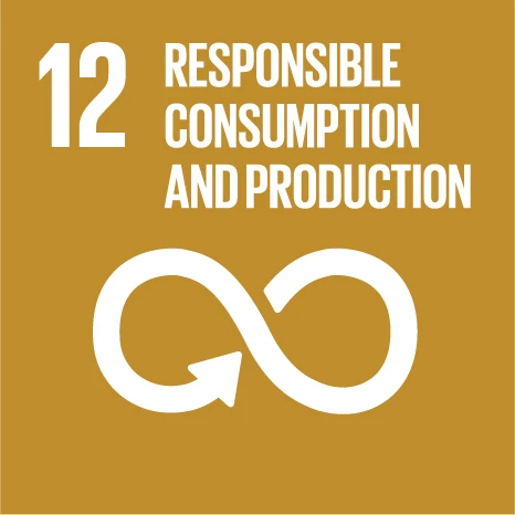 UN Sustainable Development Goal E SDG Icons-12
