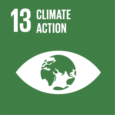 UN Sustainable Development Goal E SDG Icons-13