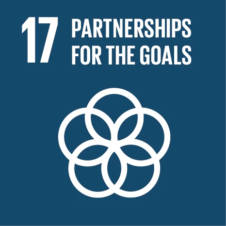 UN Sustainable Development Goal E SDG Icons-17
